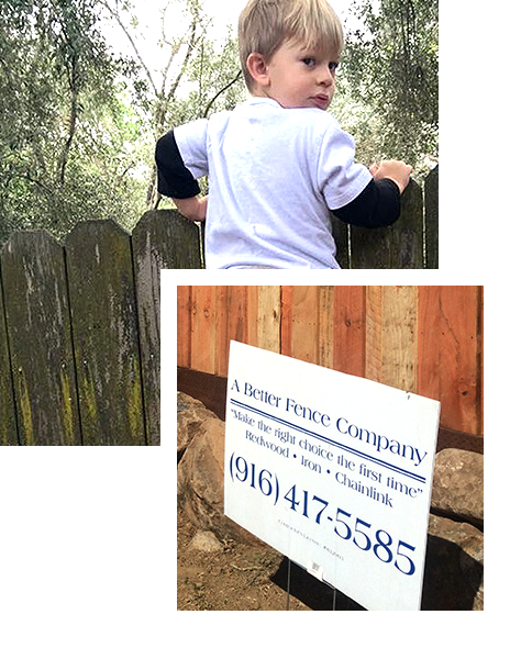 Child looking over fence